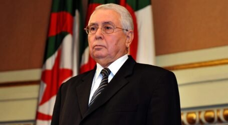 بن صالح يدعو إلى حوار شامل لتنظيم الانتخابات الرئاسية