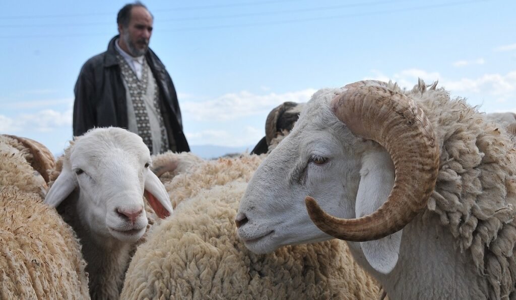 Aïd-El-Adha