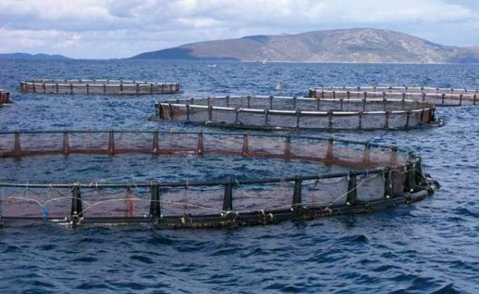 aquaculture