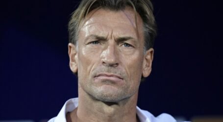 هيرفيه رونار سيدرب المنتخب السعودي