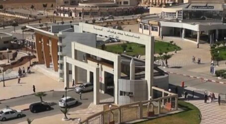 إقتراب جديد للنهوض بالجامعة و الإقتصاد