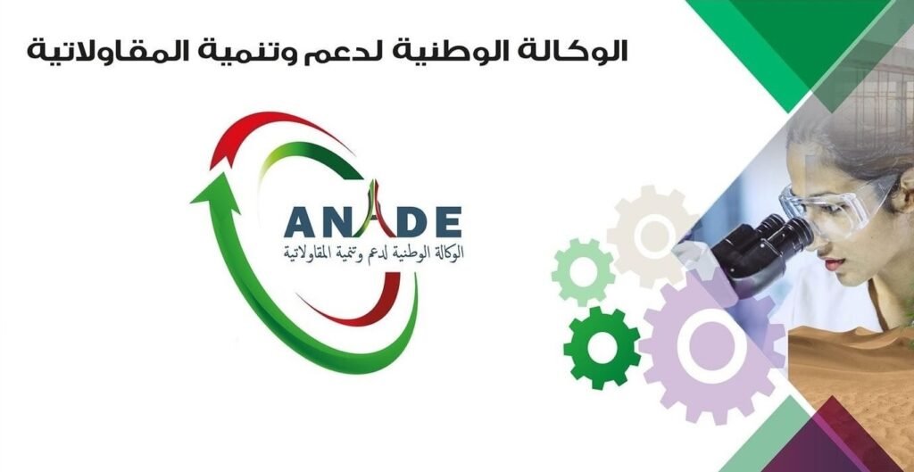 الوكالة_الوطنية_لدعم_وتنمية_المقاولاتية