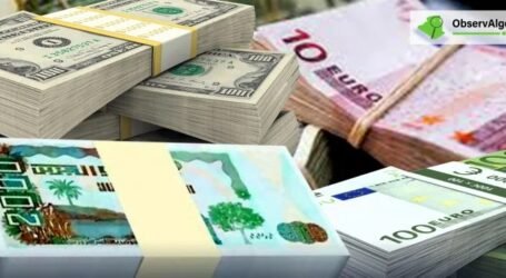 استحداث صندوق خاص بالأموال والأملاك المنهوبة