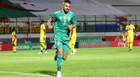 الخضر يفوزون بصعوبة على منتخب  مالي بأدنى نتيجة
